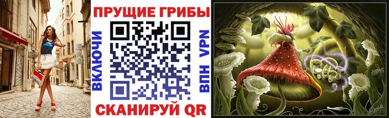 Галлюциногенные грибы Magic Shrooms закладка Когалым