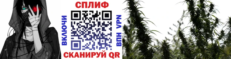 Конопля тримм Когалым